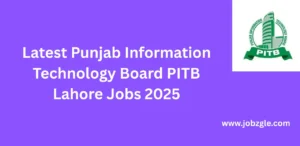 Latest Punjab Information Technology Board PITB Lahore Jobs 2025